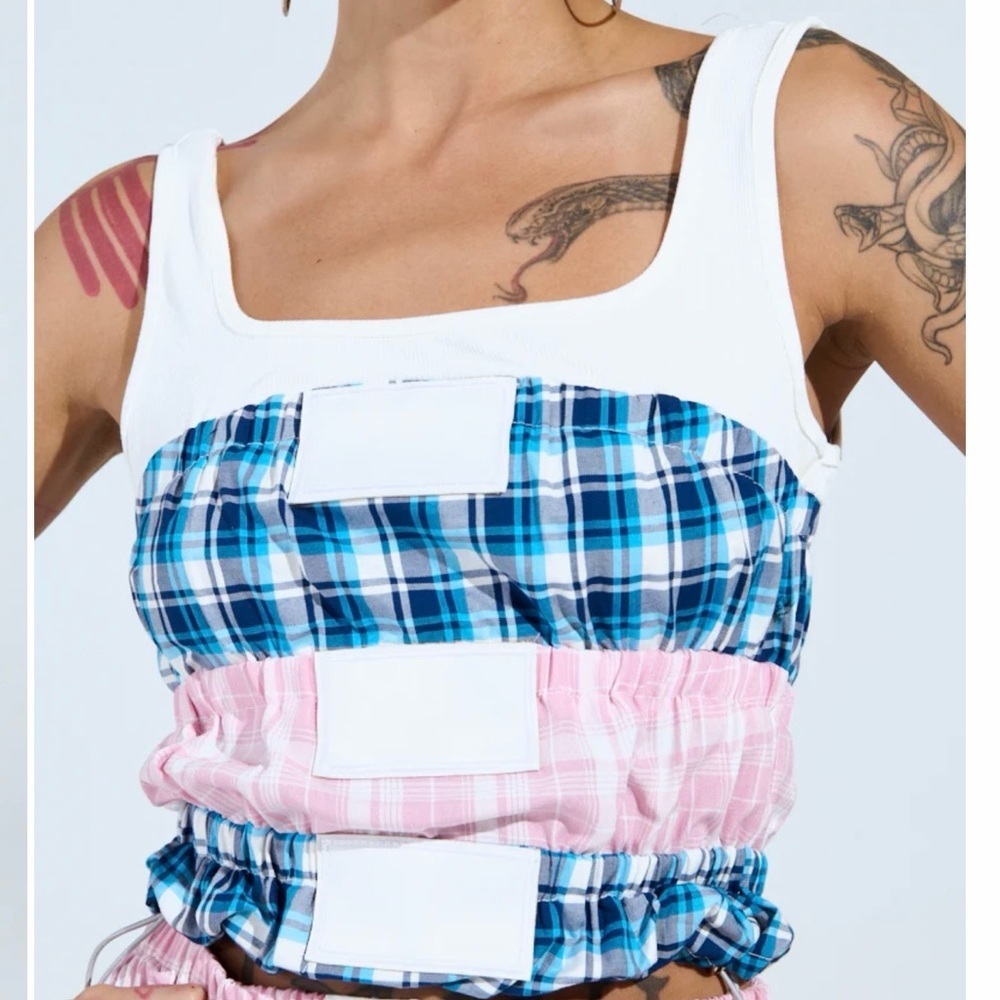 AKIRA Blue and Pink Plaid Crop Top